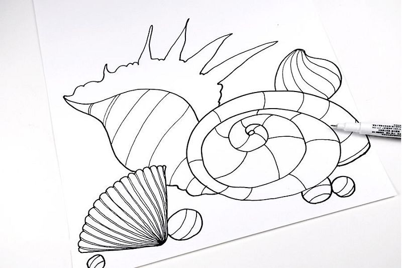 《海螺》线描创意儿童画美术课件