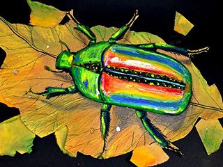 创意油画棒《甲壳虫》昆虫儿童画美术课件
